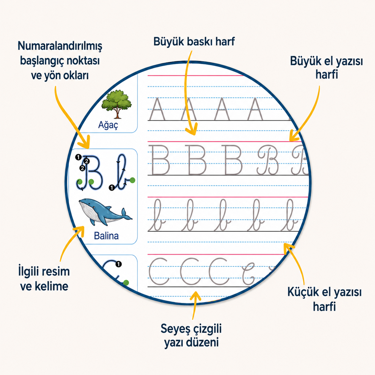 Rovida Sihirli El Yazısı Defterleri